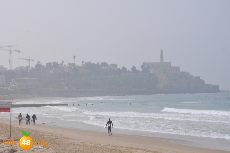 tamren ba7riya (7).JPG